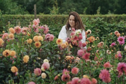 Bloemen