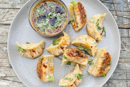 Gyoza