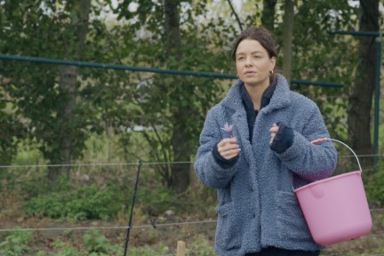 Rosah plukt verse saffraan