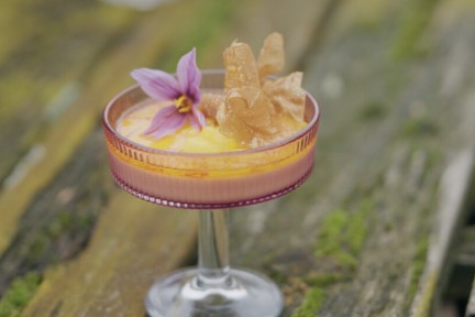 Mango panna cotta met saffraan