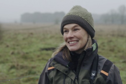 Grote grazers helpen de natuur herstellen in de Maashorst