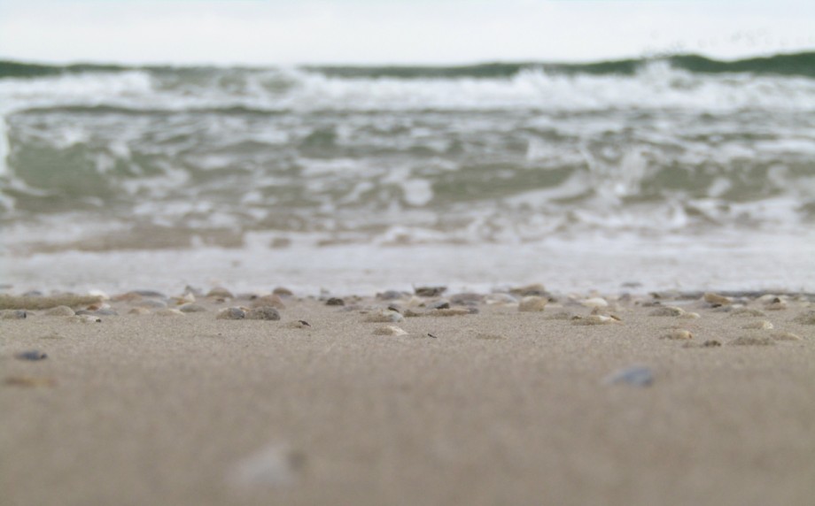 Foto: Nadine Haasnoot, staatsbosbeheer