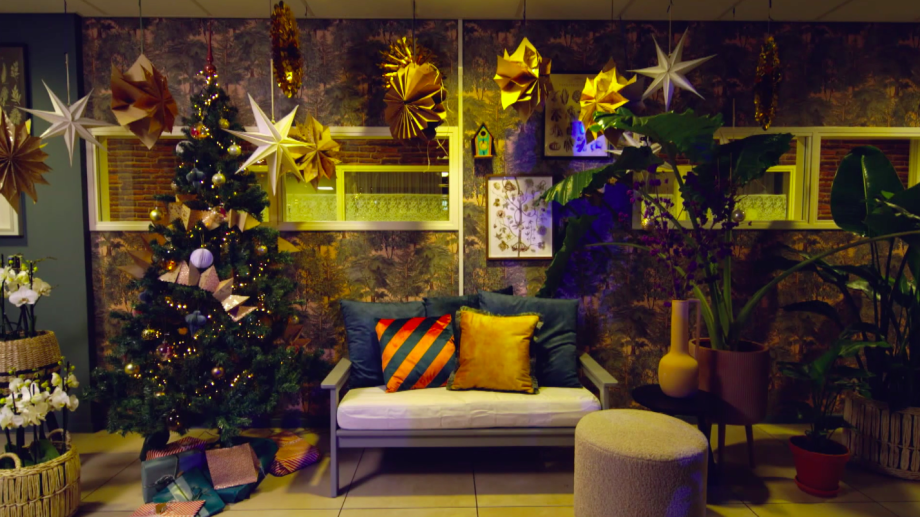 Onze interieur-expert Theo-Bert Pot maakt een kerstster van papieren zakjes | Still uit de uitzending