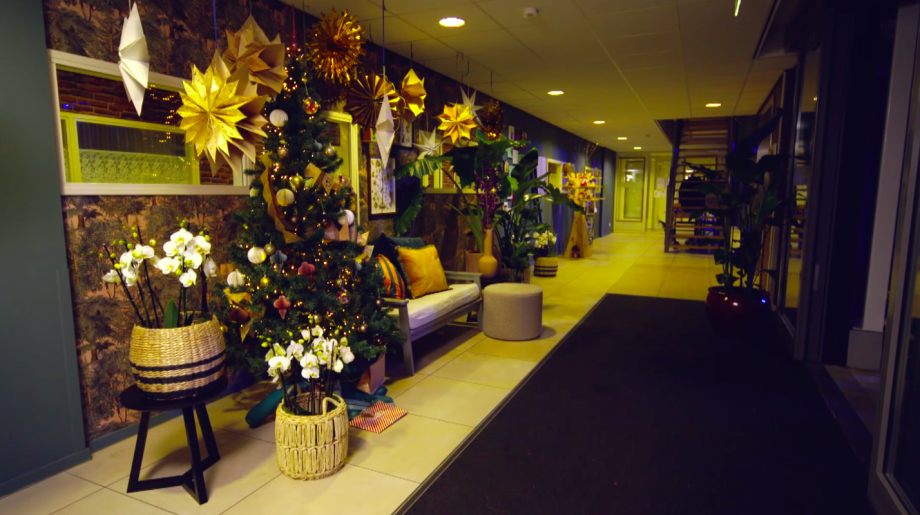 Onze interieur-expert Theo-Bert Pot maakt een kerstster van papieren zakjes | Still uit de uitzending