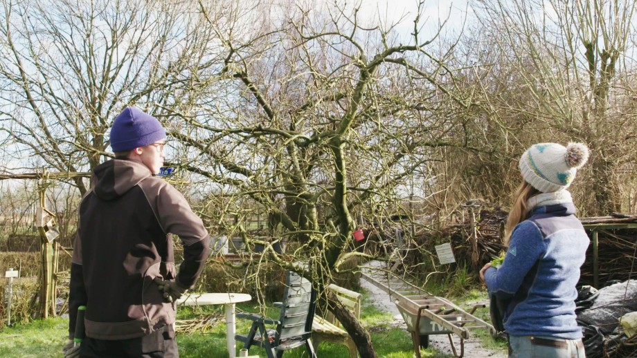 Simon en Manon kijken tevreden toe na het snoeien van deze fruitboom
