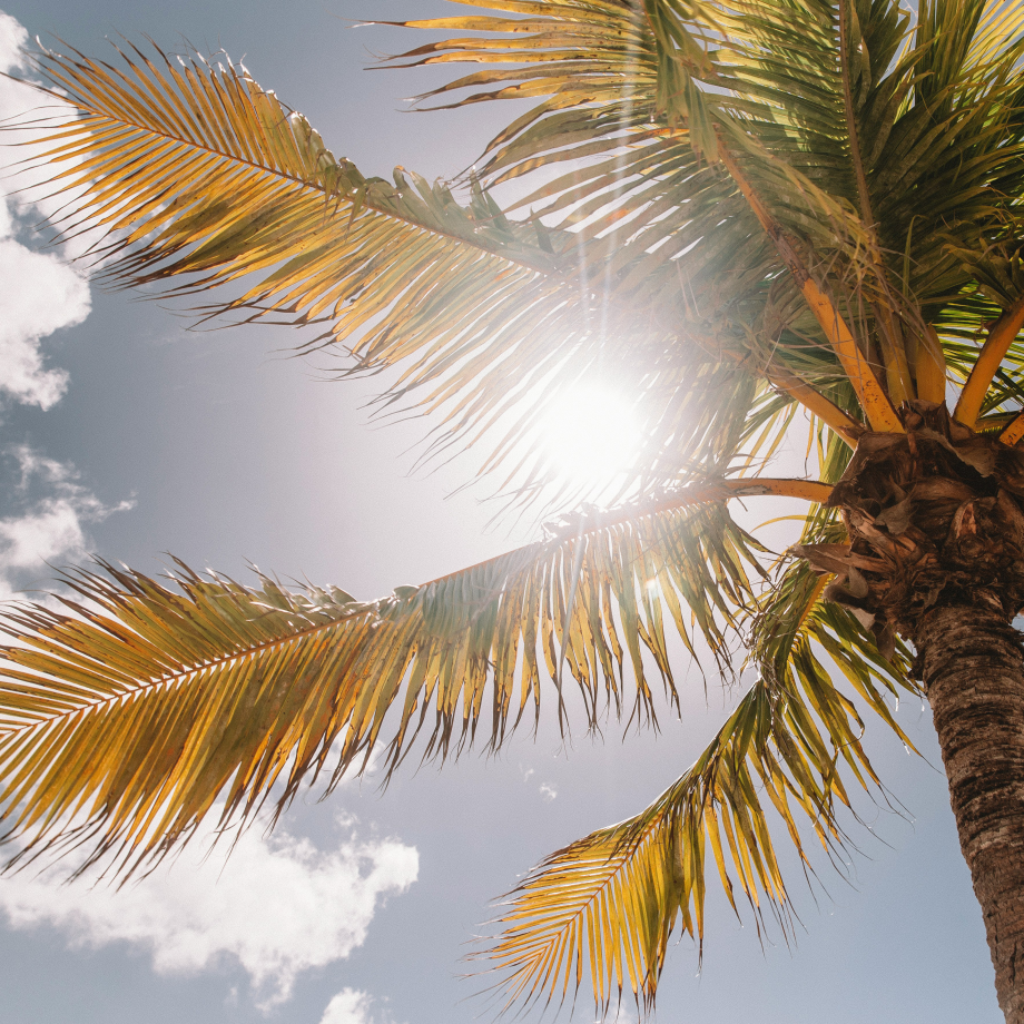 SPF artikel | Unsplash