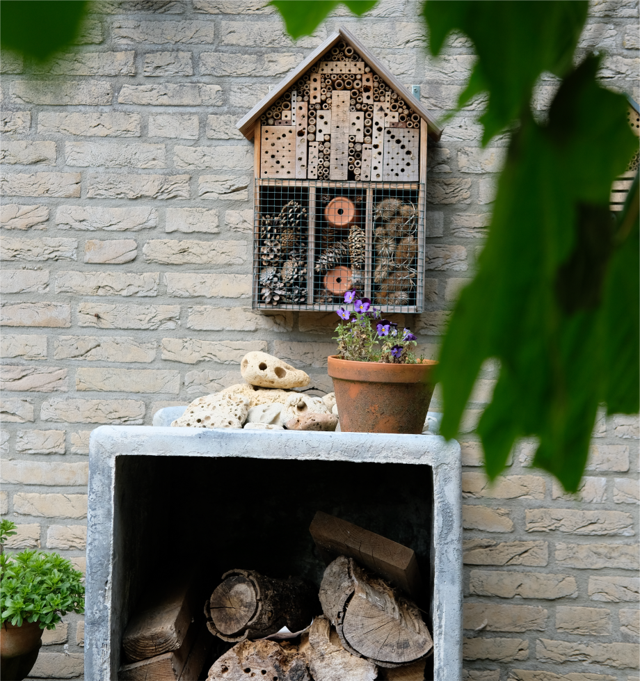 Insectenhotel | Foto: Sofie Spijker