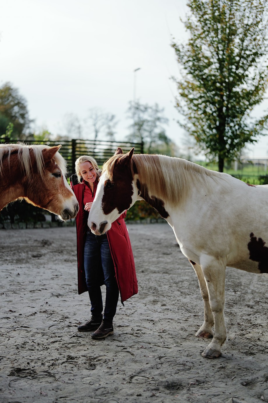 Paardenparadijs | Fotografie: Marjon Lukje
