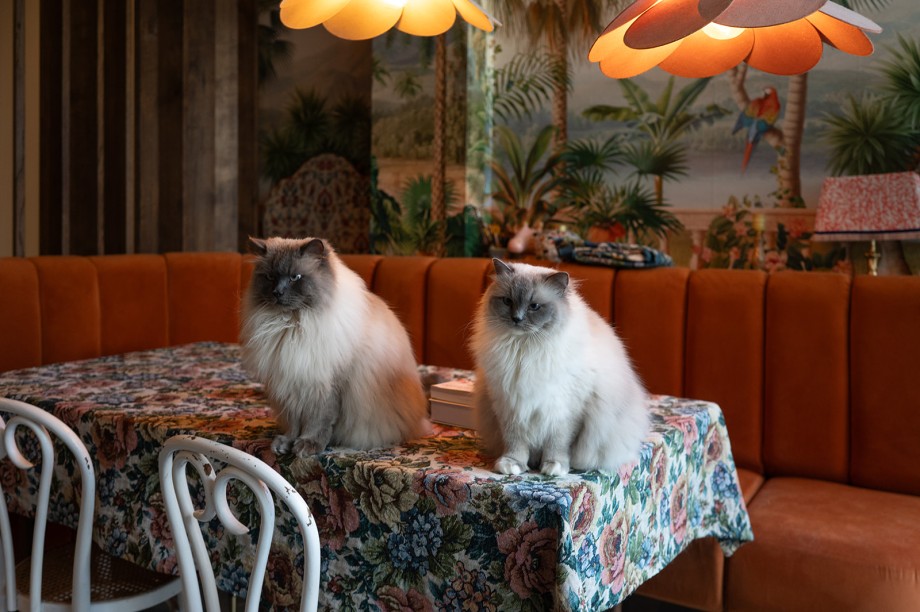 Fotografie: Sheena Schouwink