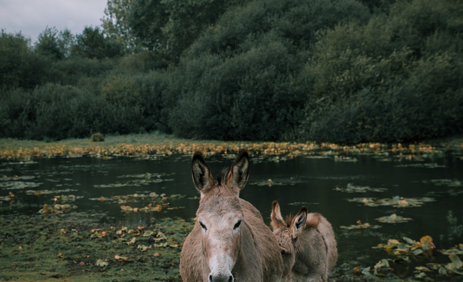 Foto: Sheena Schouwink