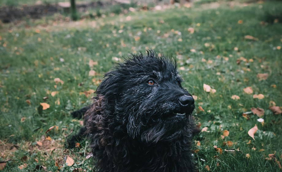 Foto: Sheena Schouwink