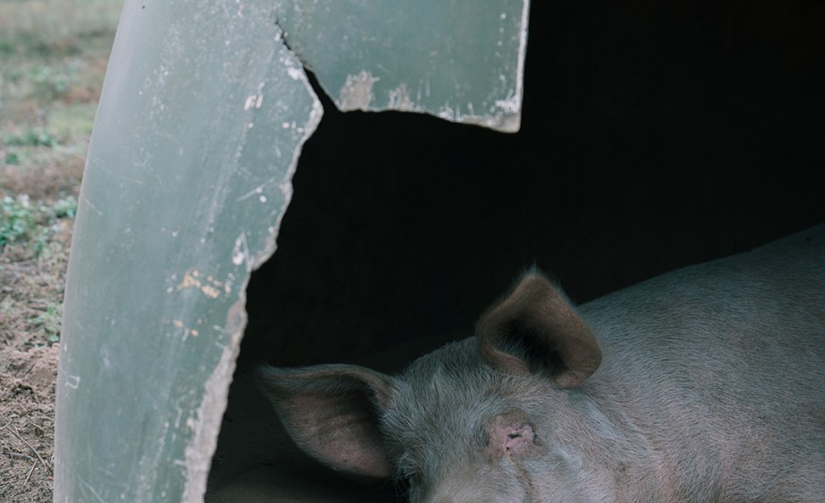 Foto: Sheena Schouwink