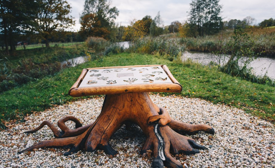 Boomstronk met handafdrukken gegoten in cement in het Enters Reggedal | Foto: Marjon Lukje