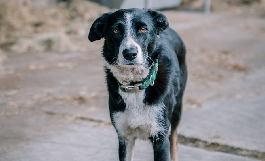 Foto: Sheena Schouwink