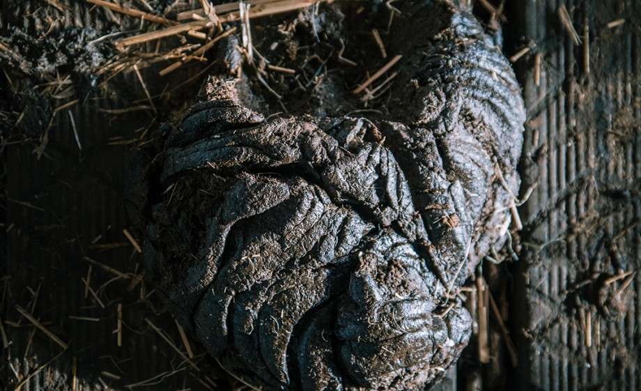 Foto: Sheena Schouwink