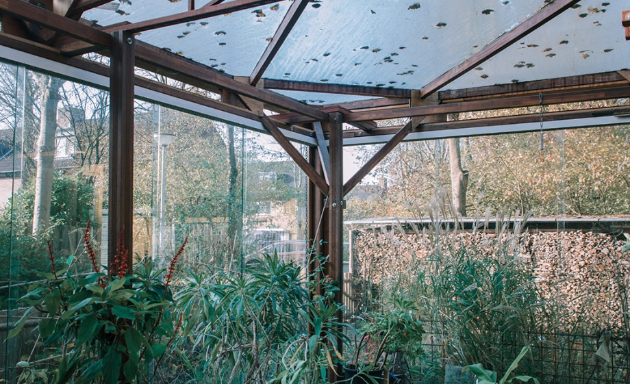 De kas in de duurzame kleuterschool Alkmaar | Foto: Sheena Schouwink