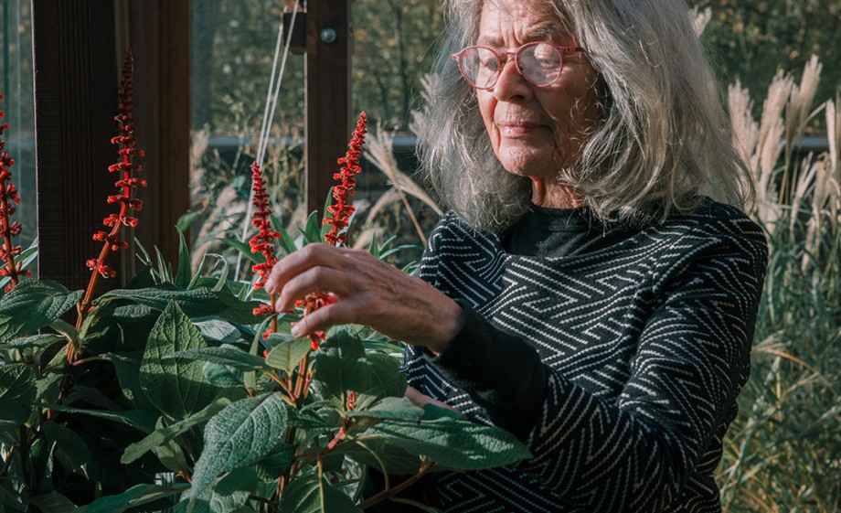 Mique aan het werk in de kas in de duurzame kleuterschool Alkmaar | Foto: Sheena Schouwink