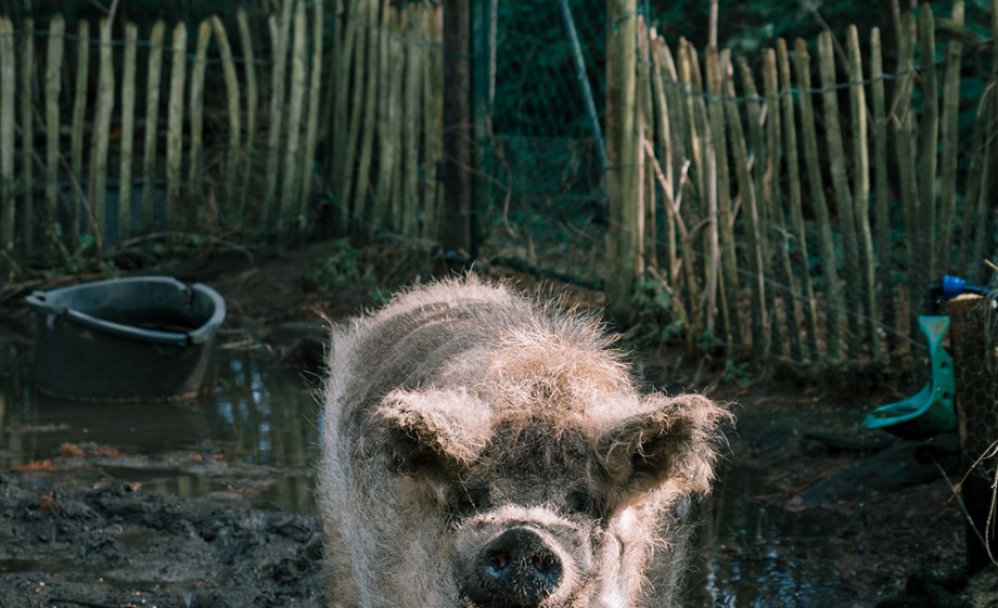 Foto: Sheena Schouwink