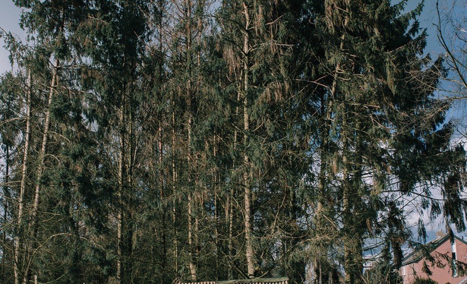 Foto: Sheena Schouwink