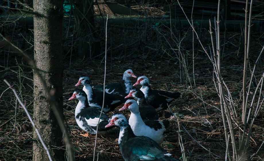 Foto: Sheena Schouwink