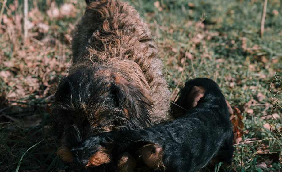 Foto: Sheena Schouwink