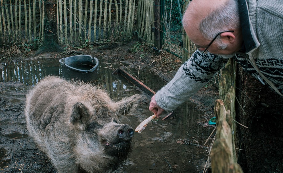 Foto: Sheena Schouwink