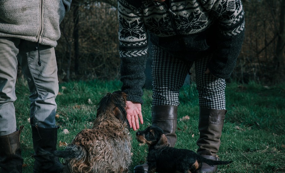 Foto: Sheena Schouwink