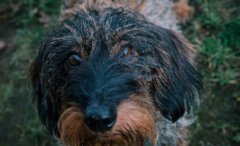 Foto: Sheena Schouwink