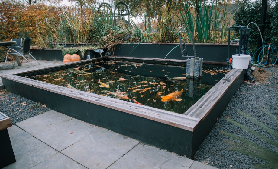 Grote vijver achter in de tuin | Foto: Sheena Schouwink