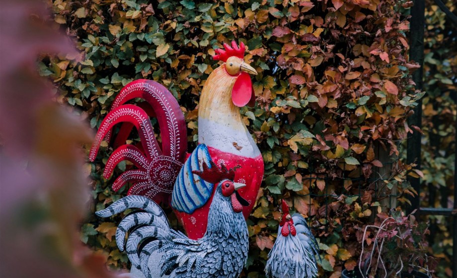 Tuin bij de kerk | Foto: Sheena Schouwink