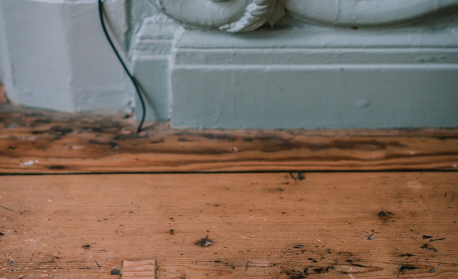 Geïsoleerde vloer met oude planken uit de VOC-tijd | Foto: Sheena Schouwink