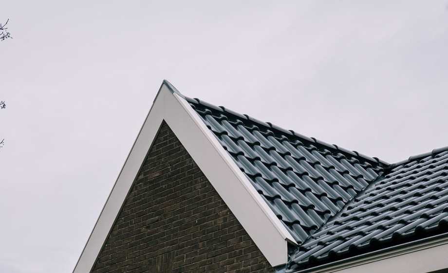 Zonnepaneel dakpannen | Foto: Sheena Schouwink