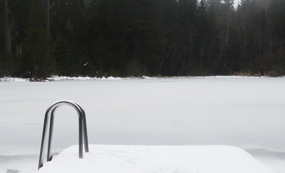 Winterzwemmen | Foto: Pixabay