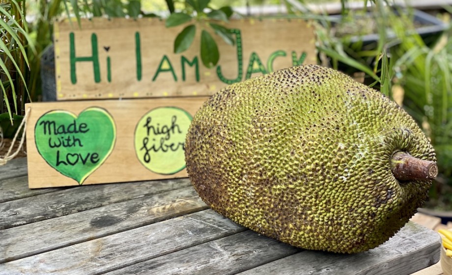 Jackfruit | Foto: Gabriela Hengeveld 