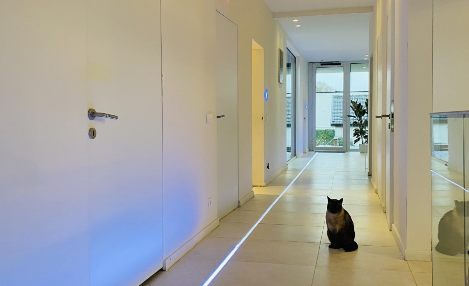 Huis van de toekomst | Foto: Jeroen Avezaat 