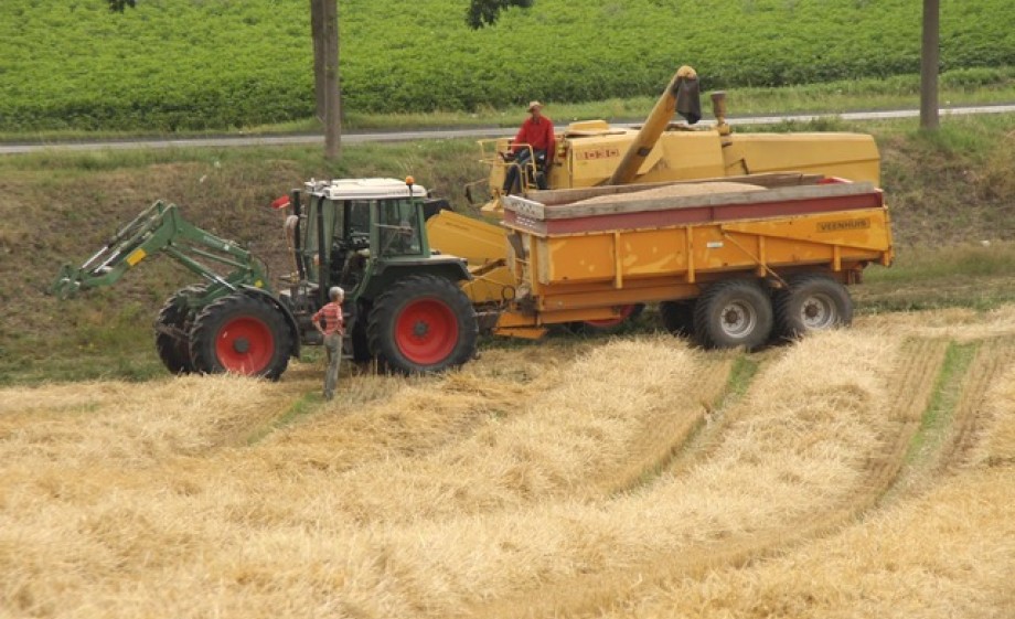 Land bewerken bij De Poshoof | Foto: Raymond Niesten 