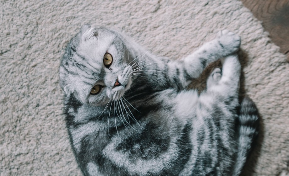 The Weavery | Foto: Sheena Schouwink