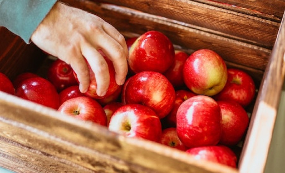 Nu planten en dan straks heerlijk je eigen appeltjes oogsten| Foto: Pexels