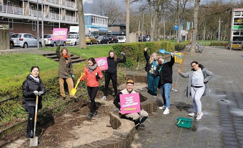 NK Tegelwippen | Foto: Groenemorgen