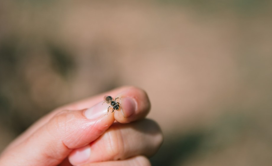 Bij gevangen | Foto: Sheena Schouwink
