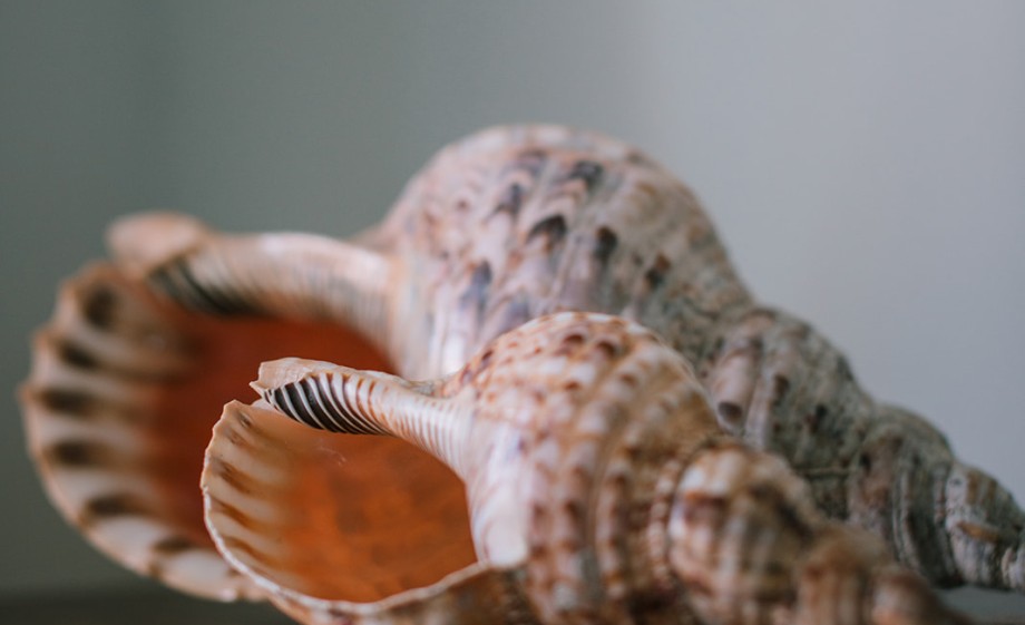 Foto: Sheena Schouwink