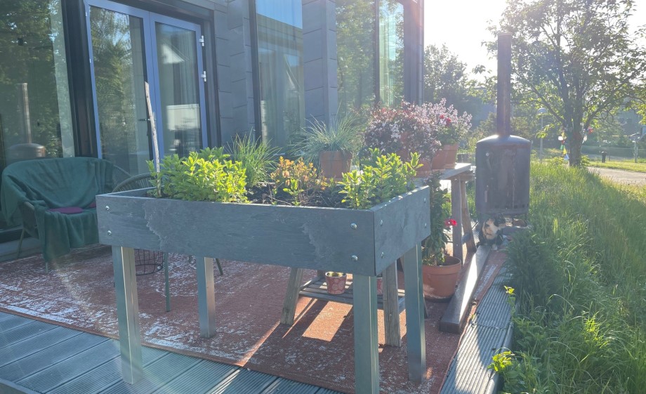 Plantenbakken van afvalplastic met kruiden