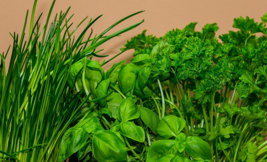 Bieslook, basilicum en peterselie | Foto: Pixabay