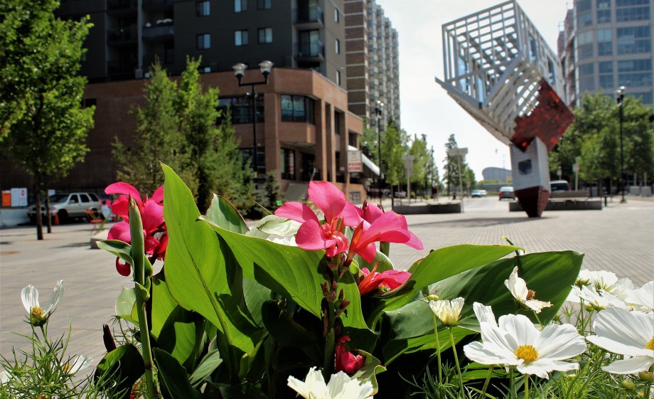 Bloemen in de stad | Foto: Pixabay