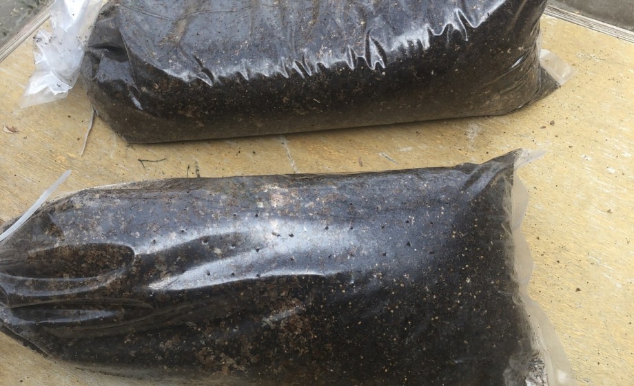 Zak met koffieprut en oesterzwamsporen | Foto: Hoogeland Catering