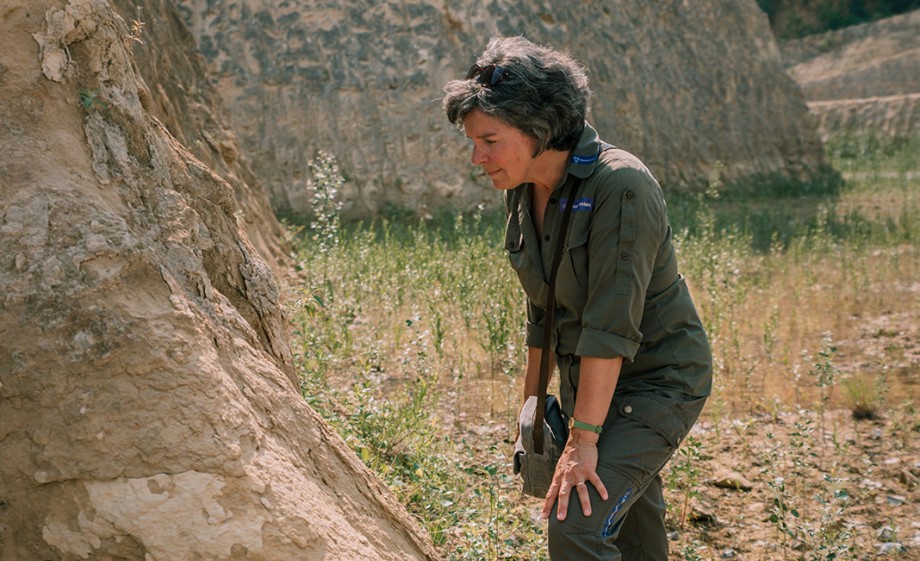 Boswachter José Hermens in de ENCI-groeve | Foto: Sheena Schouwink