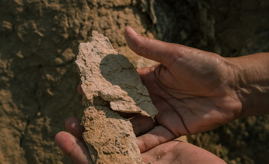 Mergel of kalksteen brokkelt gemakkelijk af in de ENCI-groeve | Foto: Sheena Schouwink