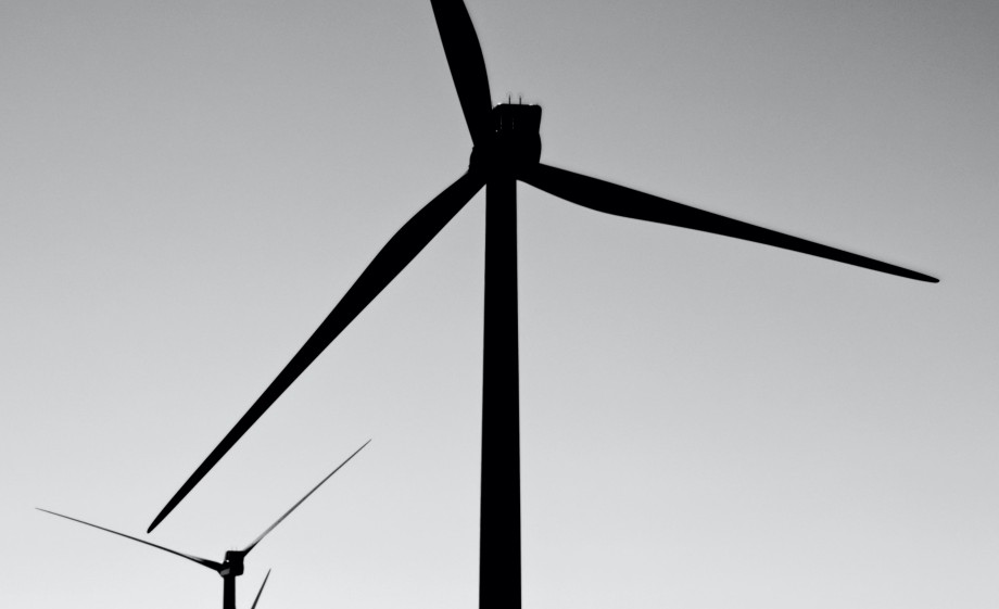Column Klimaatrapport | Foto: Unsplash 