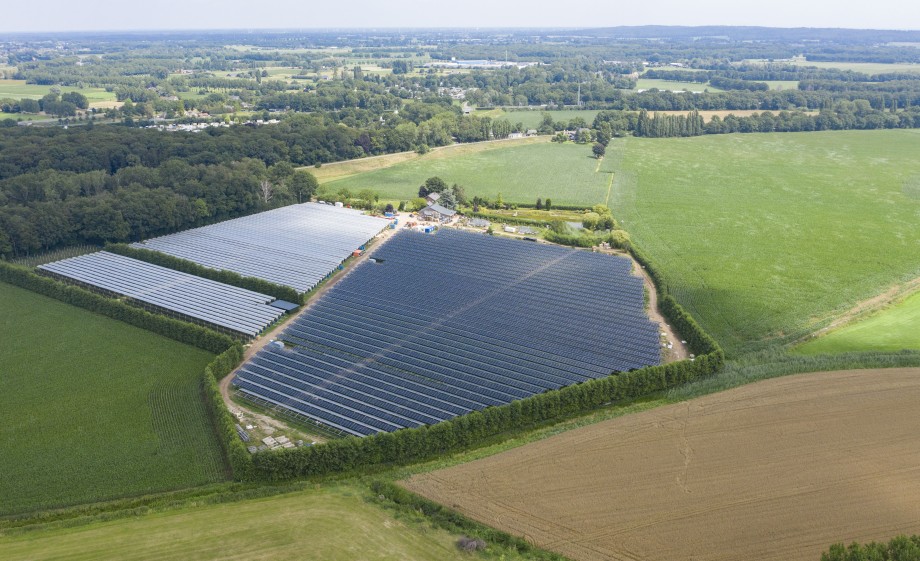 Zonnepanelen en framboos | Foto's: GroenLeven