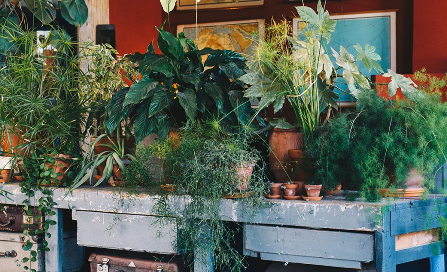 De werkbank gaat zo een nieuwe leven in | Foto: Marjon Lukje